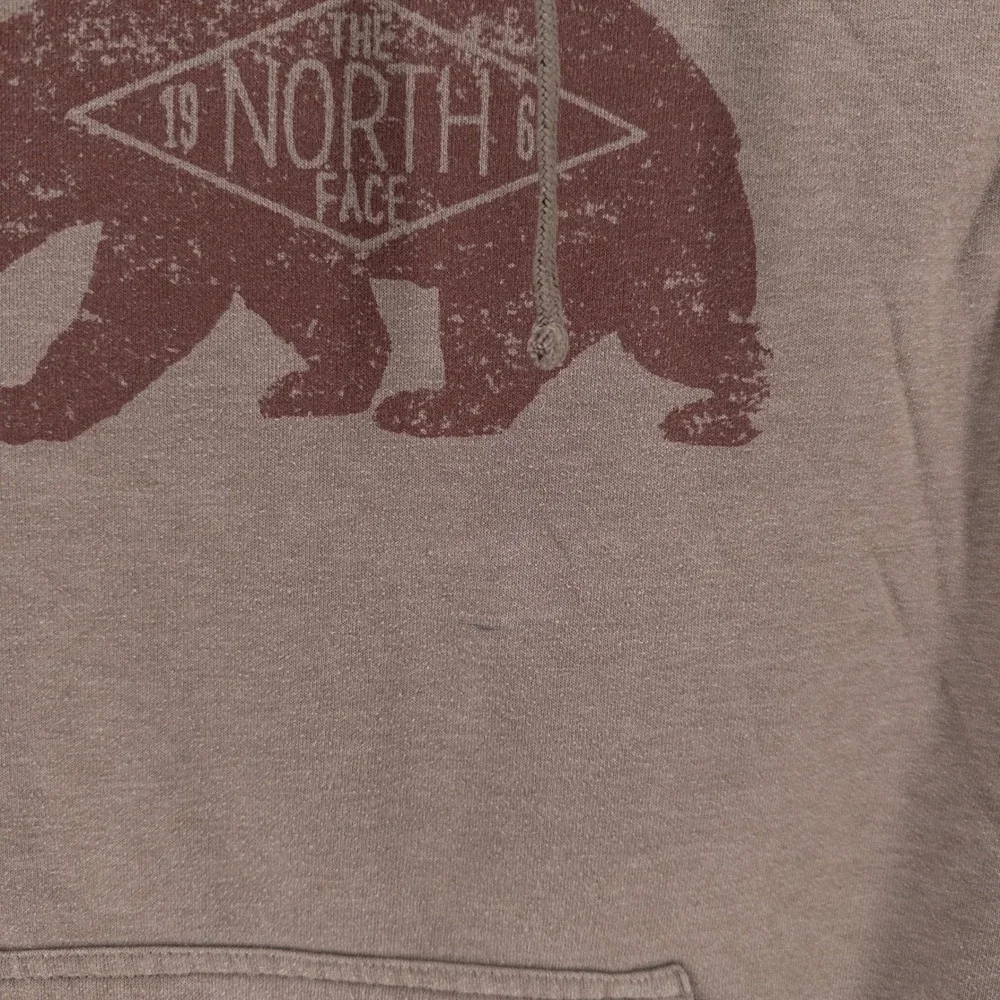 The North Face Mens Large Hoodie Brown Grizzly Bear Graphic Pullover‎ Gorpcore